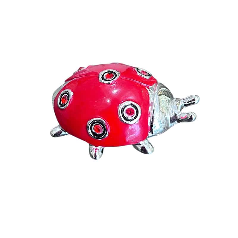 LB01 Πασχαλίτσα διακοσμητική