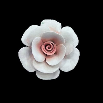 Τριαντάφυλλο πορσελάνης capodimonte