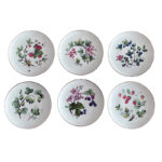 SM148 Σετ 6 τμχ. Πιάτα τοίχου 20εκ. Berries