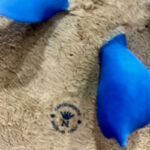 CAP5058 Κάδρο πορσελάνης capodimonte (ΠΡΟΣΦΟΡΑ) - Image 3